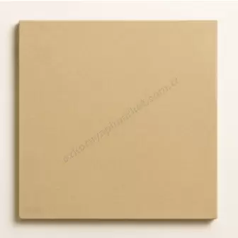 Pişirme Taşı 40X40X2 cm resim 1